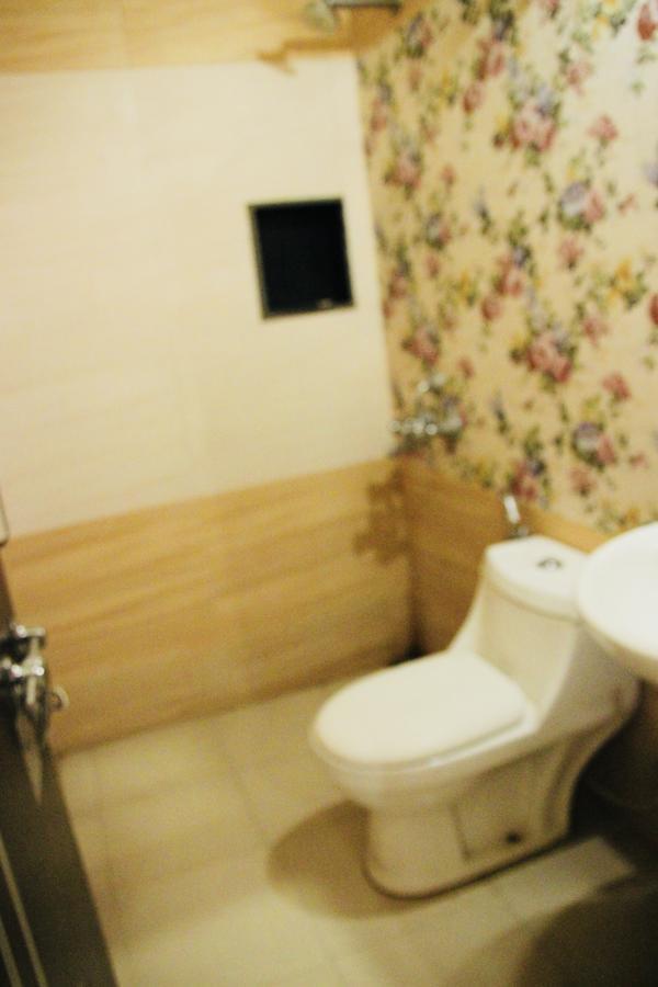 Vinayak Palace Hotel Матура Екстериор снимка